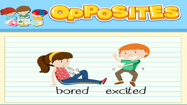 vocab24