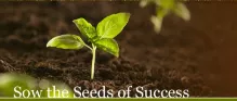 Memory trick for Sow the seeds of