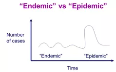 Memory trick for Endemic