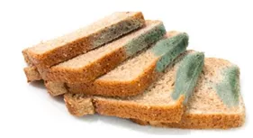 Memory trick for Stale