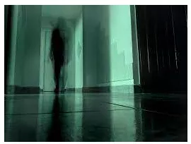 Memory trick for Shadowy
