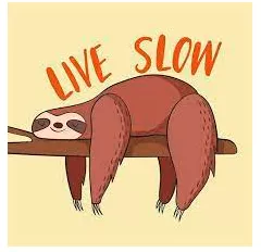 Memory trick for Sloth