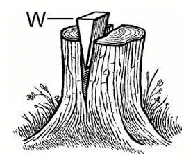 Memory trick for Wedge