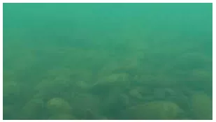 Memory trick for Murky