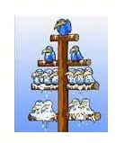 Memory trick for Pecking order