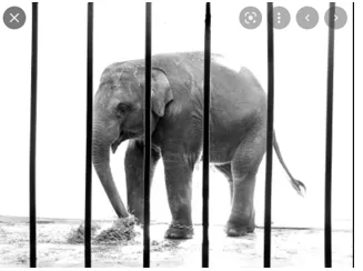 Memory trick for Captivity