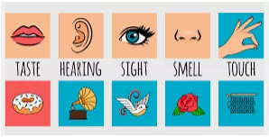 Memory trick for Sensation