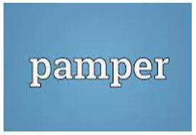 Memory trick for Pander to