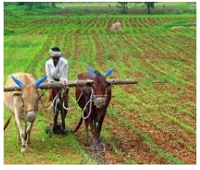 Memory trick for Tillage