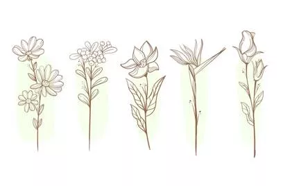 Memory trick for Dainty