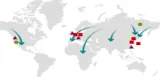 Bird flu and what we must do