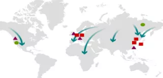 Bird flu and what we must do