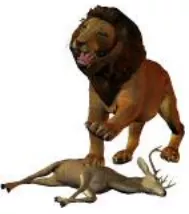 The lion’s share - A large part