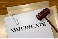 Adjudicate - Make a formal judgment on a disputed matter. / pronounce or declare judicially.