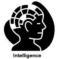Grey matter - Intelligence