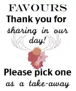 To be in good books of - To be in kind favour