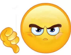 Contempt - willful disobedience to or open disrespect of a court, judge, or legislative body./ the state of being despised.