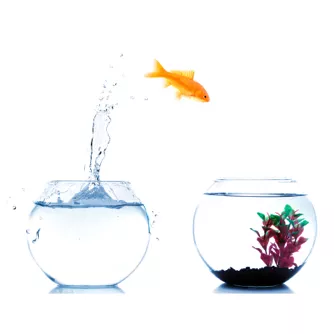 Autonomy - the right or condition of self-government./ freedom from external control or influence; independence.