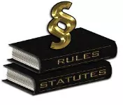 Statute - A rule of an organization or institution.