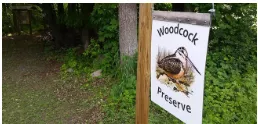 Preserve - A sphere of activity regarded as being reserved for a particular person or group.