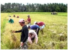 Agrarian  - Relating to cultivated land or the cultivation of land.