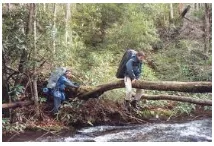 Predicament - A difficult, unpleasant situation