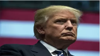 The lotus hope in a trumpian world
