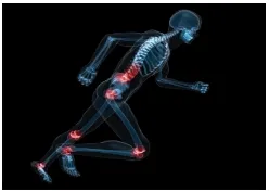 Meaning – joint  jointed  indicating a joint