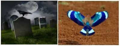 Similar word