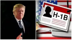 H 1b visa in the spotlight