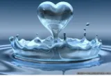 Meaning – heart  pertaining to heart      