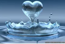 Meaning – heart  pertaining to heart      