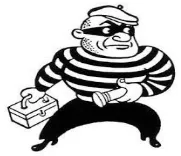 Perpetrator - A person who carries out a harmful, illegal, or immoral act.