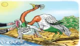 Shed the indus albatross