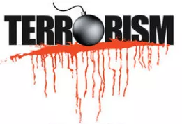 Terror in london  the challenges posed by 'lone wolves'