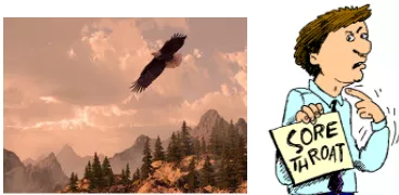 Similar word
