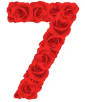 Meaning  seven