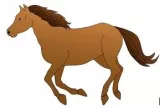 Meaning  horse