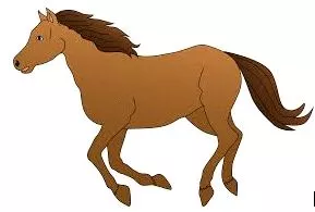 Meaning  horse