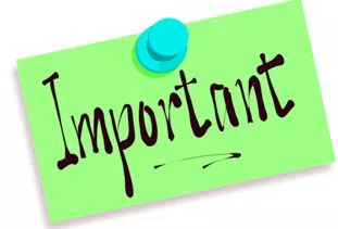 Lynchpin - a person or thing vital to an enterprise or organization.