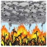Stop crop burning 