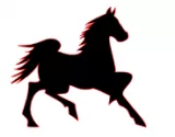 Dark horse