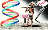 Be scientific  on taking a call on gm mustard's usage