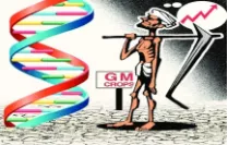 Be scientific  on taking a call on gm mustard's usage