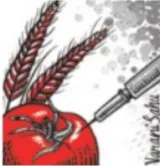 Needed  biotechnology regulator with teeth
