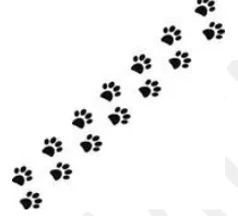 Trail - A mark or a series of signs or objects left behind by the passage of someone or something