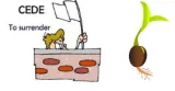 Cede vs  seed