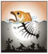 Protect rivers