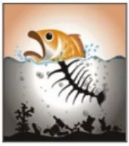 Protect rivers