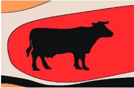 Cow slaughter and the constitution